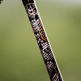 1 of 220 The Rattlesnake Casting Rod - Limited Edition Rod