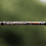 1 of 220 The Rattlesnake Spinning Rod - Limited Edition Rod