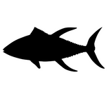 Tuna Fishing Decal – Tuna Fishing Sticker – 2203