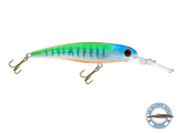 Voyager 15 Walleye