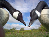 Canada Goose Decoy Flocking Kit Small , 25 Decoys Heads