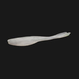 Barracuda