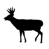 Whitetail Deer Hunting Decal – Whitetail Buck Sticker - 1101