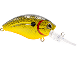 Howeller DMC Jr.