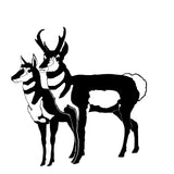 Pair of Pronghorns Window Decal - Stylish Pronghorns Sticker for Home Decor - 1901