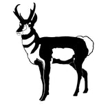 Pronghorn Buck Decal – Pronghorn Buck Sticker – 1902