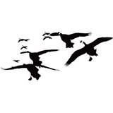 Flock of Geese, Goose Hunting Decal – Flock of Geese Hunting Sticker – 7076