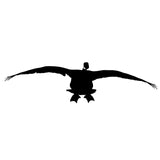 Honker flyin' In Decal – Honker flyin' In Sticker – 2003