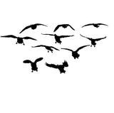 Cacks Comin' at Ya Decal – Cacks Comin' at Ya Sticker – 2026