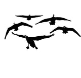 Canadian Geese From The Front Decal - Decorative Sticker for Nature Lovers - 2035