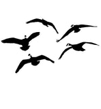 Canadian Geese From the Side Decal - Premium Quality Canadian Geese Sticker 2037