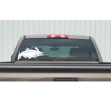 Salmon Trout on Lure Fishing Decal - Salmon Trout on Lure Fishing Sticker - 2207