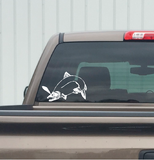 Salmon Fishing Decal – Salmon Fishing Sticker – 2210
