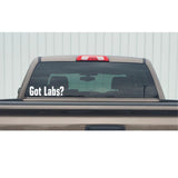 Got Labs? Labrador Retriever Hunting Decal – Got Labs? Labrador Retriever Hunting Sticker – 2421