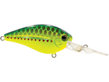 FlatMaster