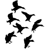 Mallards Stack'n In Decal - Nice Set of Mallards Stack'n In Sticker - 5058