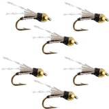 Beadhead Black 3 Dollar Dip Serendipity Wet Fly Fishing Flies - 6 Flies Hook Size 16