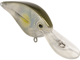 FlatMaster