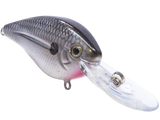 FlatMaster
