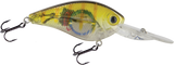 FlatMaster