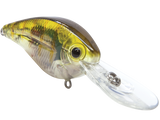FlatMaster