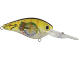 FlatMaster