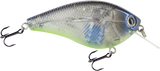 Primetyme SQ 2.0