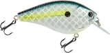 Primetyme CB 2.0