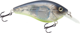 Primetyme CB 1.5