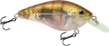 Primetyme CB 1.5