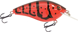 Primetyme CB 1.5