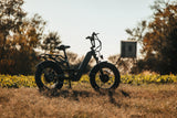 Revolt AWD Step Thru Bike