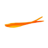 Barracuda