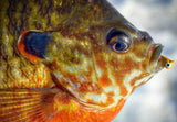 SCHOOL BUS YELLOW TUNGSTEN JIG