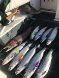 Ice Strong Outdoors - Killer Fish - Rattling Shallow Diver UV - NEW 2026 Colors Just Released!