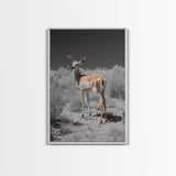 Baby Deer, Spotted Fawn, Desert Wildlife, Framed Canvas Print, Nursery Wall Art, Wildlife Nature Decor, Gentle Forest Animal Art
