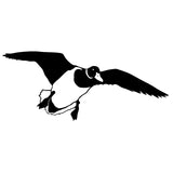 Flying Mallard Decal - Flying Mallard Sticker – 5042