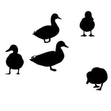 6 Mallards Standing Around Decal – 6 Mallards Standing Around Sticker – 5057
