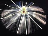 Joe Shute Glow in the Dark Series 5-3/4oz