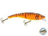 Head Hunter 8"