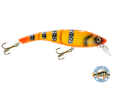 Head Hunter 8"