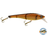 Head Hunter 6"