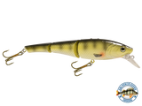 Head Hunter 8"