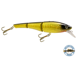 Head Hunter 8"