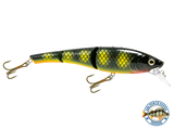 Head Hunter 6"