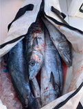 84QT Fish Cooler Bag With Flat Bottom