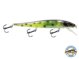 Walleye Jerkbait 136