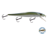 Walleye Jerkbait 136