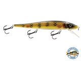 Walleye Jerkbait 136