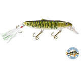 Striker